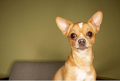 KK平台新图推荐！卡牌吞噬+无限成长！防守还能这么玩？